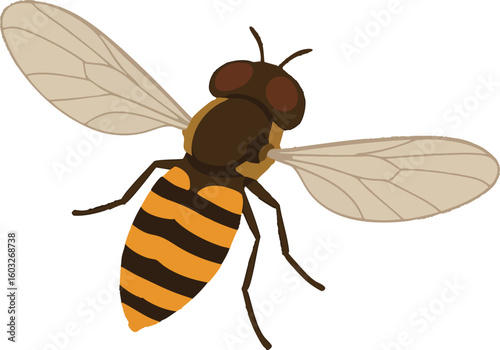 Flat vector hoverfly hovering with bee-like pattern, transparent wings, vector-friendly, isolated on white
