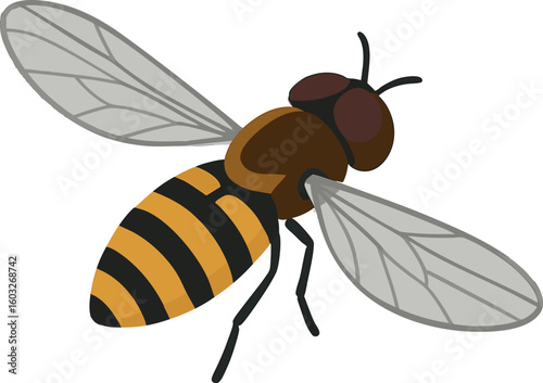 Flat vector hoverfly hovering with bee-like pattern, transparent wings, vector-friendly, isolated on white