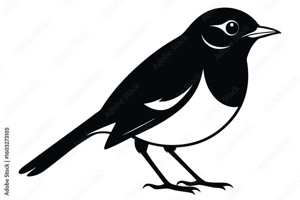 Fototapeta premium Detailed Vector Image of a Magpie Bird Standing with a Side View Stance