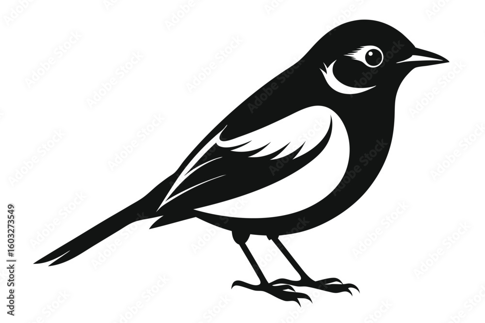 Fototapeta premium Simple Graphic of a Black and White Bird with Detailed Feathers and Eye