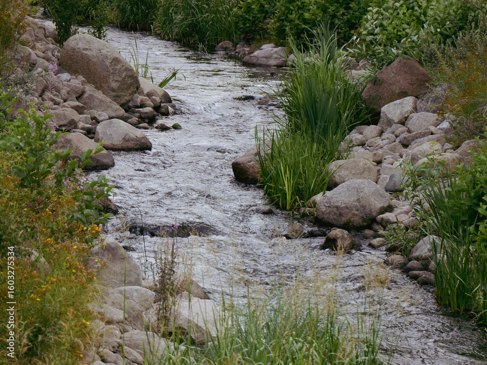 custom made wallpaper toronto digitalA running stream on a summer day