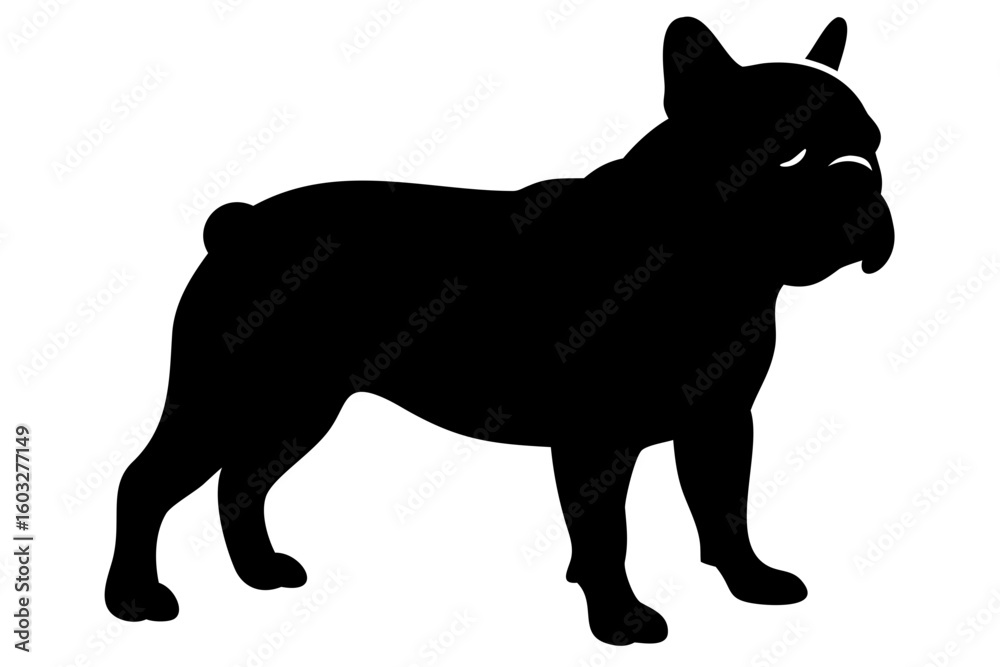 Obraz premium Mini bulldog dog silhouette on white background animal