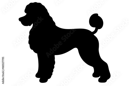 Giant Poodle Dog Silhouette animal