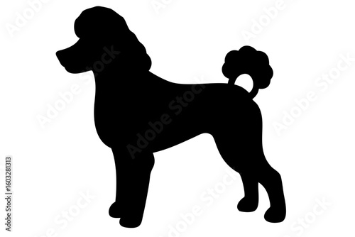 Brown Poodle Dog Silhouette animal
