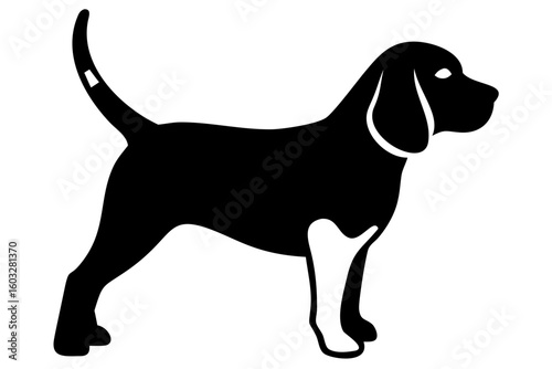 Short haired beagle dog silhouette animal silhouette
