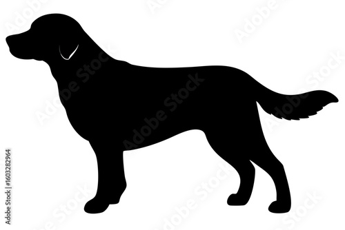 Blue Golden Retriever Dog Silhouette canine