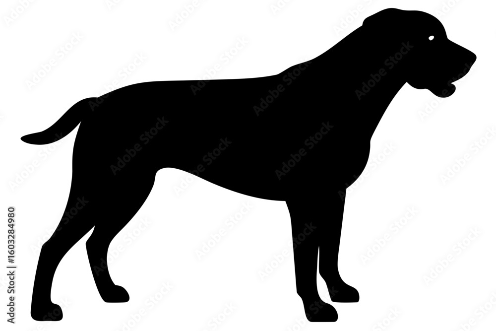 Naklejka premium Rottweiler Dog Silhouette on White Background animal