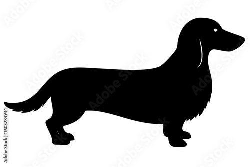 Long Haired Dachshund Dog Silhouette dachshund silhouette