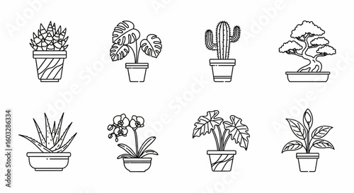 Houseplants Line Icon Set – Succulents, Monstera, Cactus, Bonsai, Aloe Vera, Orchid, Peace Lily Vector

