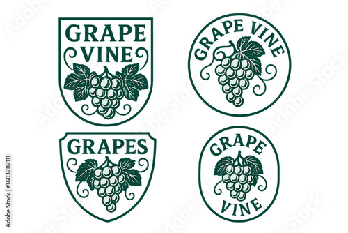Grape vine logo collection. Vector label set for wine, juice or food products. Vintage fruit emblem with leaves. Organic farm badge illustration isolated on white background.
