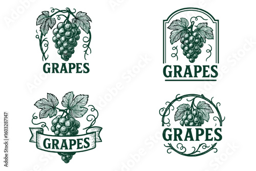 Set of vintage grape vine logo designs. Collection of retro fruit emblems for wine labels or packaging. Hand-drawn vineyard sketch illustration. Organic food icon set.