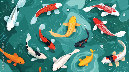 Exquisite Ornamental Koi Fish Swimming Gracefully in Pond Top View Group