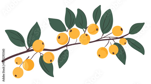Vibrant Sea Buckthorns Growing on Branch with Fresh Leaves