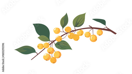 Vibrant Sea Buckthorns Growing on Branch with Fresh Leaves