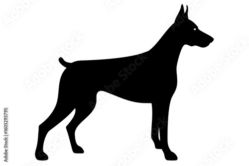 White Doberman Dog Silhouette animal