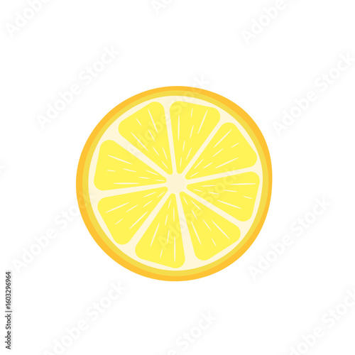 Citrus fruit slices. Round slices of orange, lemon, lime, grapefruit and halves. Vector illustration	