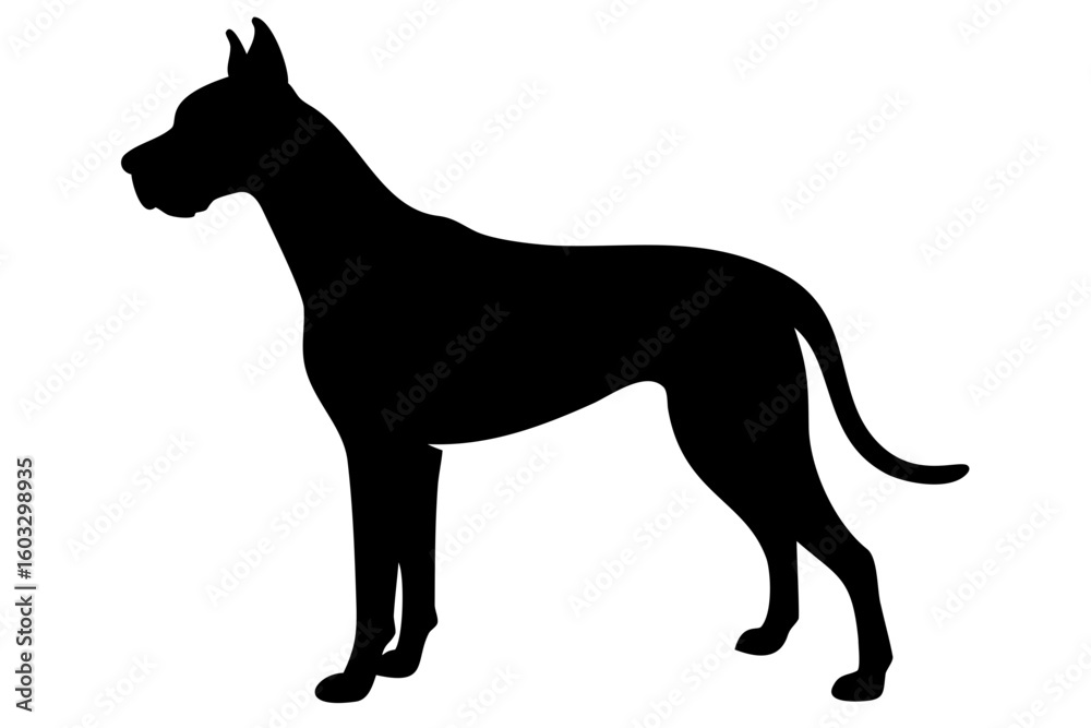 Fototapeta premium Tan Great Dane Dog Silhouette animal