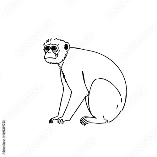 Simple line sketch of a gibbon sitting in a neutral pose  