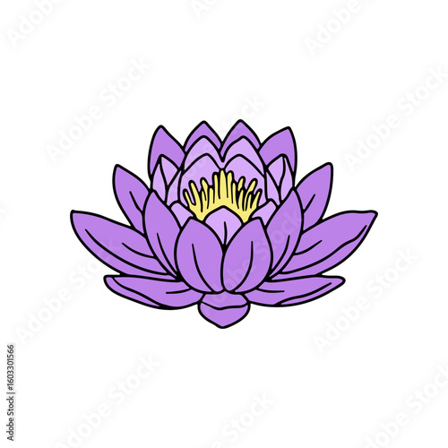Hand drawn purple lotus flower line art vector illustration isolated on white background. Water lily beautiful doodle clipart