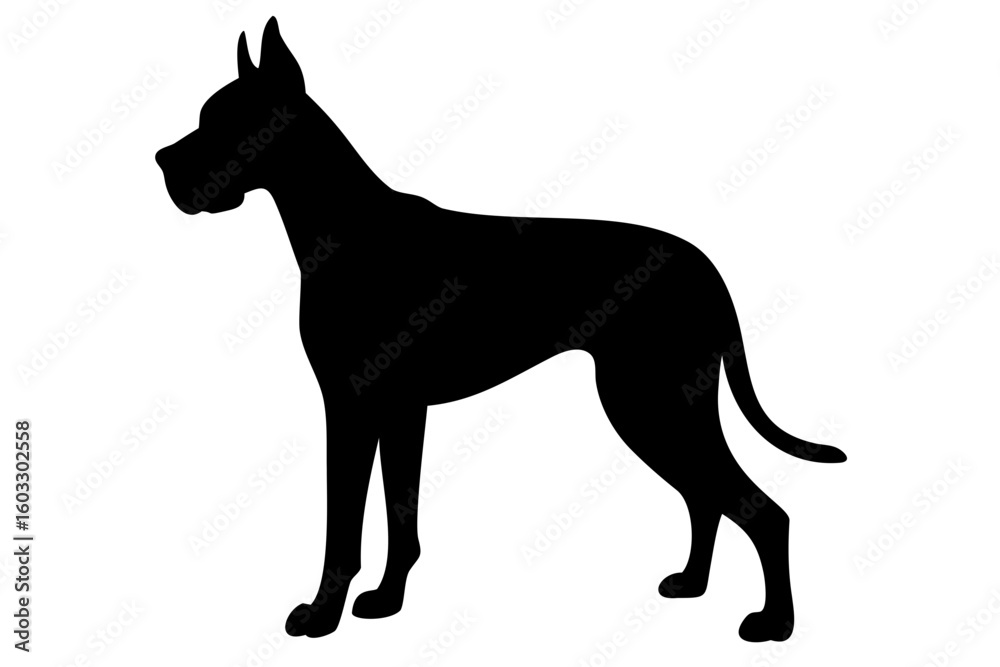 Fototapeta premium Great Dane Dog Silhouette animal