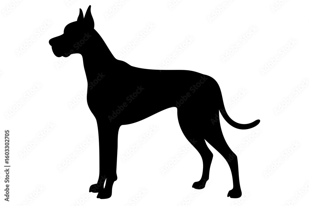 Obraz premium Tan Great Dane Dog Silhouette animal