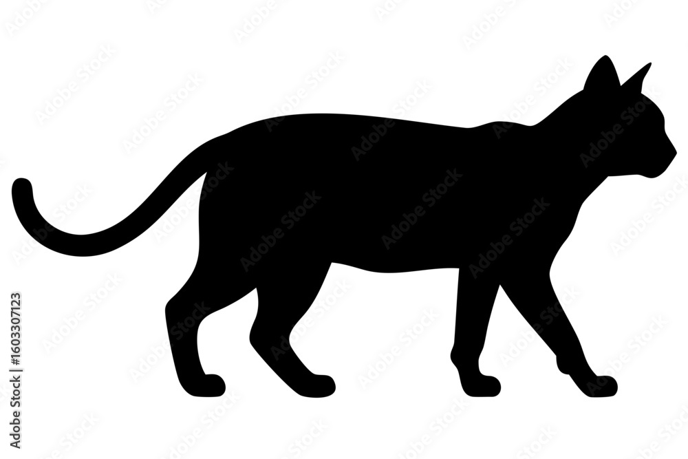 Obraz premium Silhouette of a Giant Bengal Cat Standing feline animal