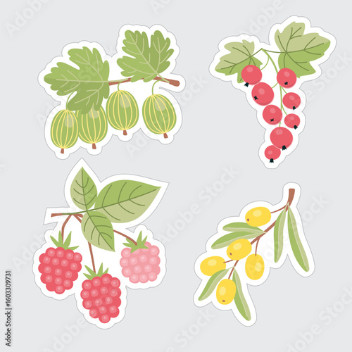 Fruit branches sticker set. Berries and leaves of gooseberries, currants, raspberries and sea buckthorn. Cartoon objects isolated on grey. Red, yellow, green, brown colors. Vector food illustration.