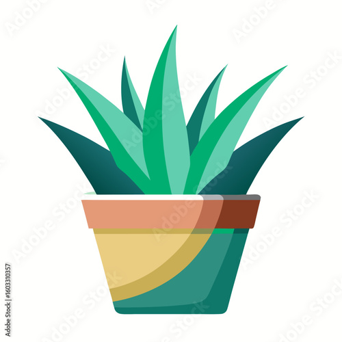 aloe vera plant in pot