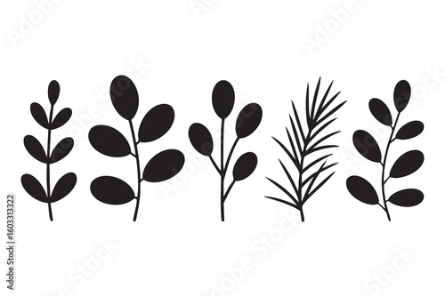 Black botanical branches with oval leaves and fern frond vector