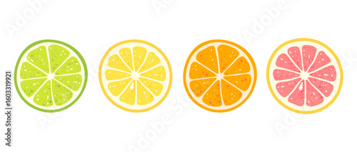 Fresh citrus fruits slices set. Lime, lemon, orange and grapefruit on white isolated background. Design elements for summer menu, package, cosmetic, textile, package. Vector illustration in flat style