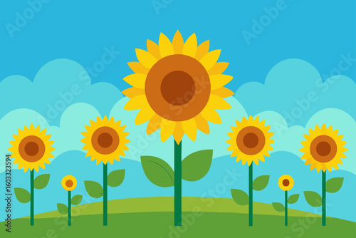 Sunflower Field Glow