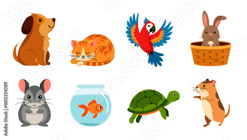 Collection of cartoon pets including a dog cat parrot rabbit chinchilla goldfish turtle hamster