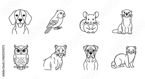 Collection of eight outlined animals including a dog parrot chinchilla and an owl and a cougar boxer ferret