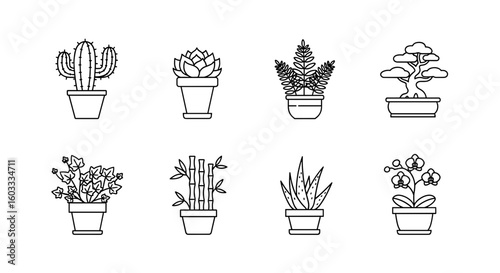 Collection of eight potted plants including cactus succulent bonsai and other various plant species line art
