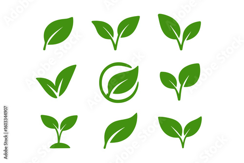 Green leaves icon set. Leaf, plant, sprout silhouette collection. Eco, bio, vegan, organic food product symbol. Natural, environment, ecology, nature vector logo element.