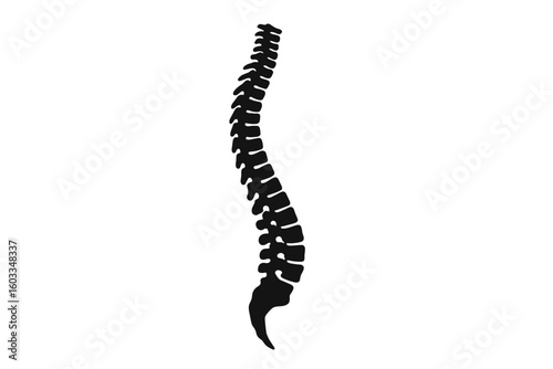 Vector Spine Silhouette, Human Vertebral Column Illustration, Medical Center, Clinic or Hospital Logo, Back Pain Treatment, Rehabilitation, Diagnostic, Healthcare Symbol, Spinal Surgery Icon