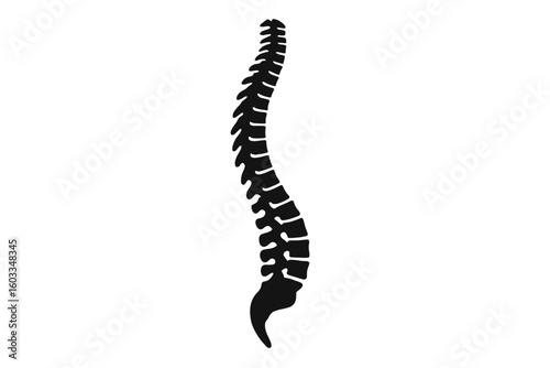 Vector human spine silhouette illustration, isolated spinal column symbol for medical center, clinic, rehabilitation, diagnostic, surgery, healthcare logo, anatomy icon design