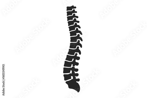 Human Spine Silhouette Vector Illustration. Medical Spine Symbol for Pain Clinic, Rehabilitation Center, Orthopedic Institute, Spinal Surgery, Diagnostic, Therapy, Healthcare Logo Design