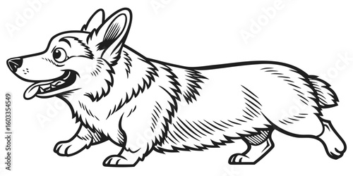 A cartoon style corgi dog with short legs and a fluffy coat is walking happily to the right