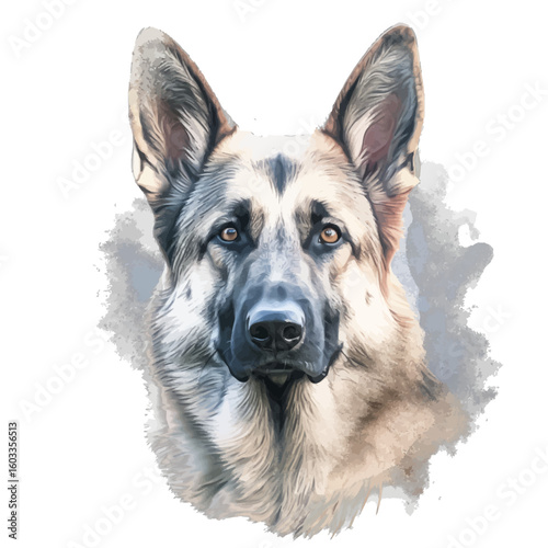 german shepherd dog