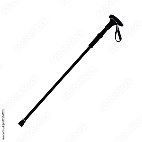 trekking pole silhouette vector