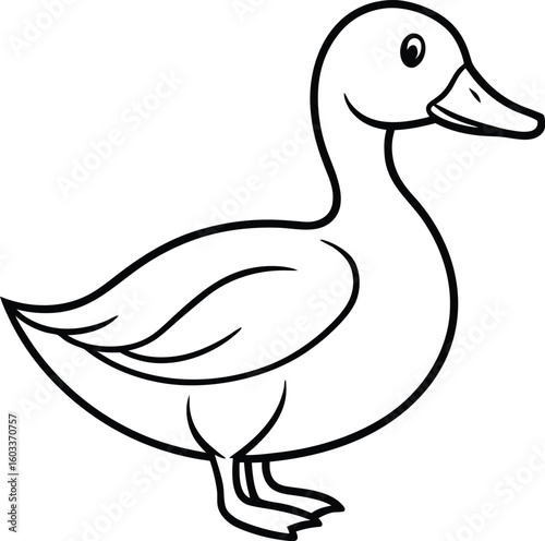 A vector illustration of a cute cartoon duck with a beak and feathers on a white background