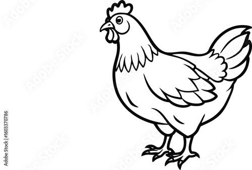 Vector cartoon illustration of a cute rooster and hen, domestic farm poultry