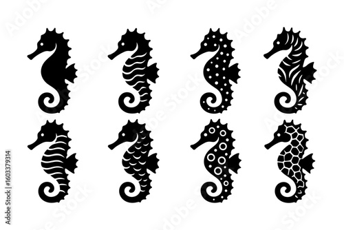Variety of seahorse silhouettes: detailed designs in monochrome