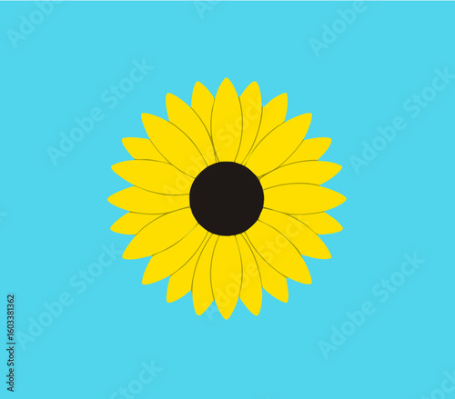 Sunflower Vector Illustration
