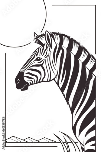 zebra vector illustration