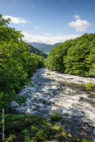 新緑の竜頭の滝
