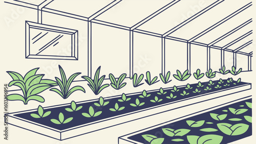 Greenhouse Interior with Raised Planter Beds and Various Plants.