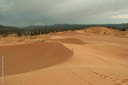 Fototapeta Naklejka Na Ścianę i Meble -  tourist dune sledding sand dune boarding at coral pink sand dunes