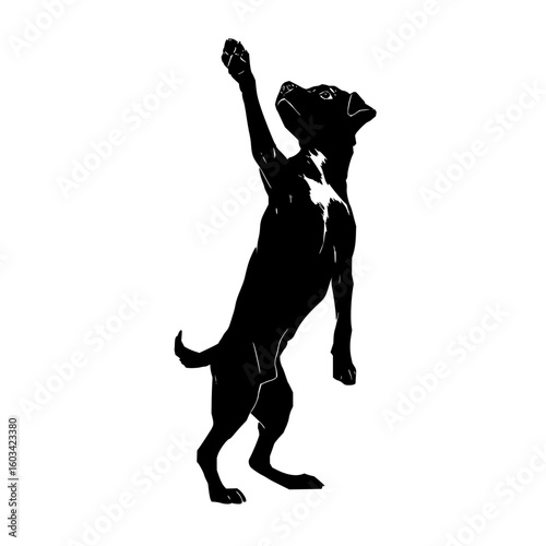 Silhouette of a black dog standing on its hind legs with one paw raised up against a white background